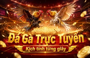 Giao diện sảnh đá gà wetwaterest2017